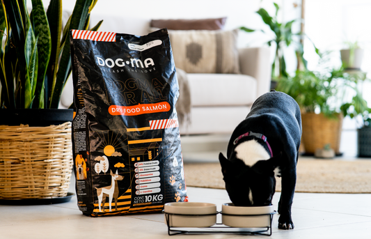 ¿Qué esperas de las croquetas de tu perro?