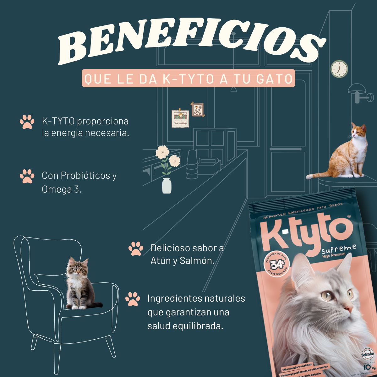 Ktyto croquetas Super Premium para gato proteína de salmón- 10kg