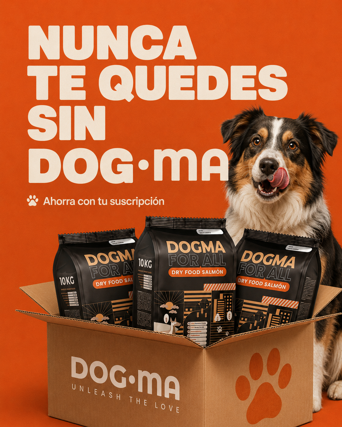 Croquetas DOGMA 10kg para Perros Adultos y Senior | Salmón y Alta Digestibilidad