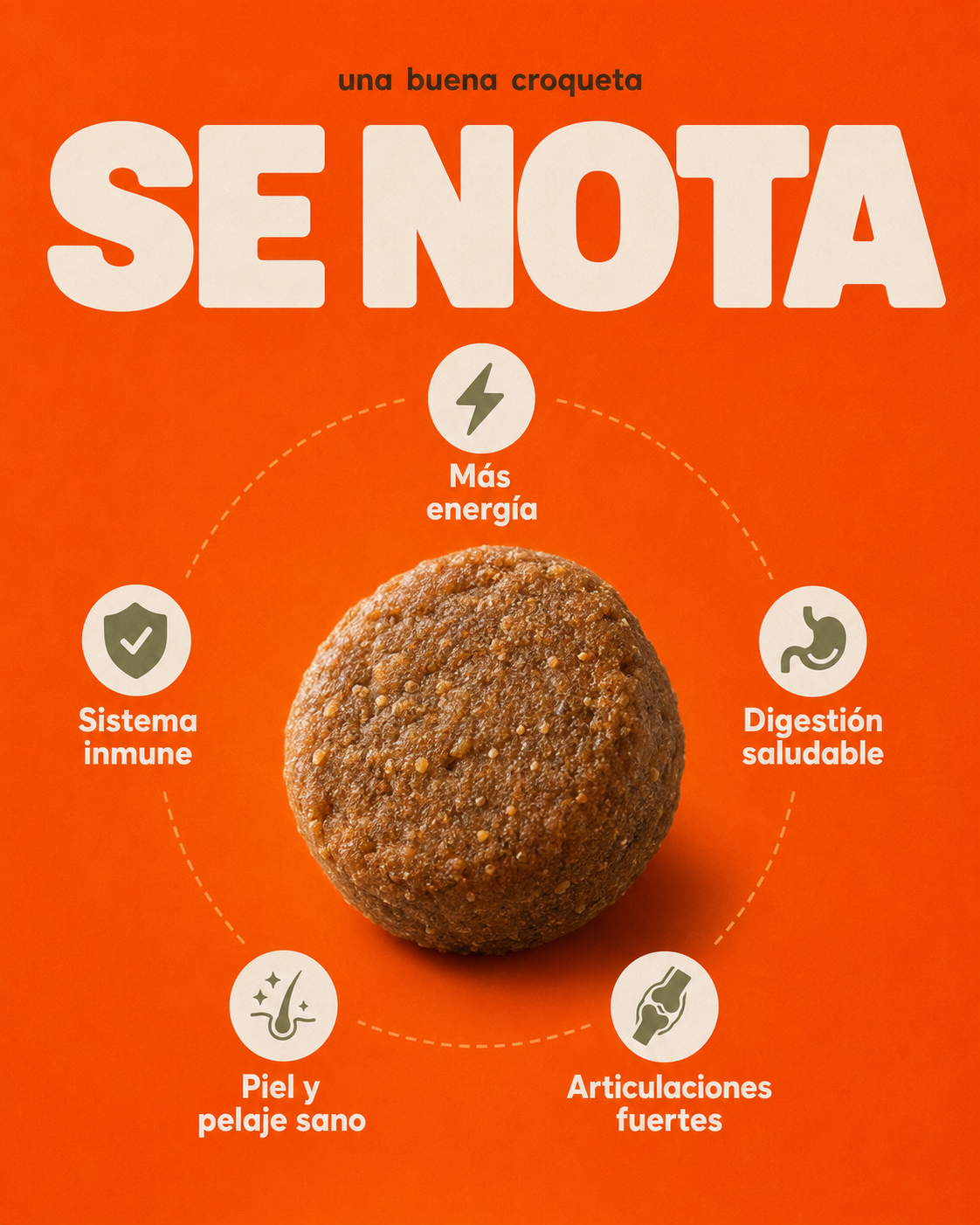 Croquetas DOGMA 10kg para Perros Adultos y Senior | Salmón y Alta Digestibilidad