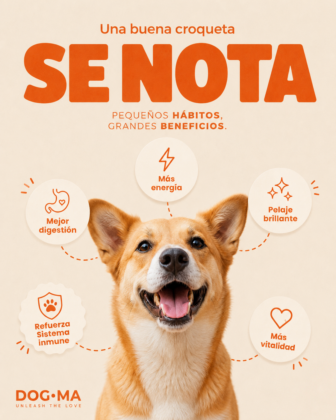 Croquetas DOGMA 10kg para Perros Adultos y Senior | Salmón y Alta Digestibilidad
