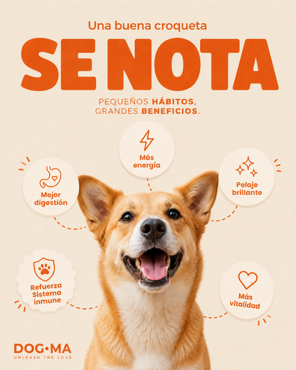 DOGMA Alimento especializado -20kg