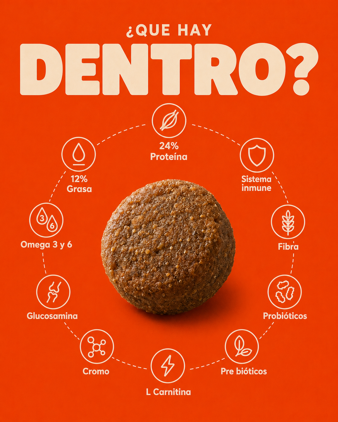 Croquetas DOGMA 10kg para Perros Adultos y Senior | Salmón y Alta Digestibilidad