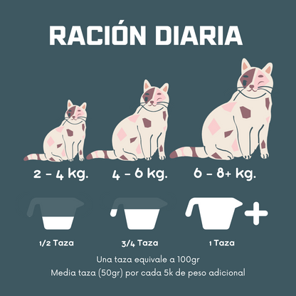 Croquetas para gato Ktyto- Super Premium proteína salmón/atún- 10kg