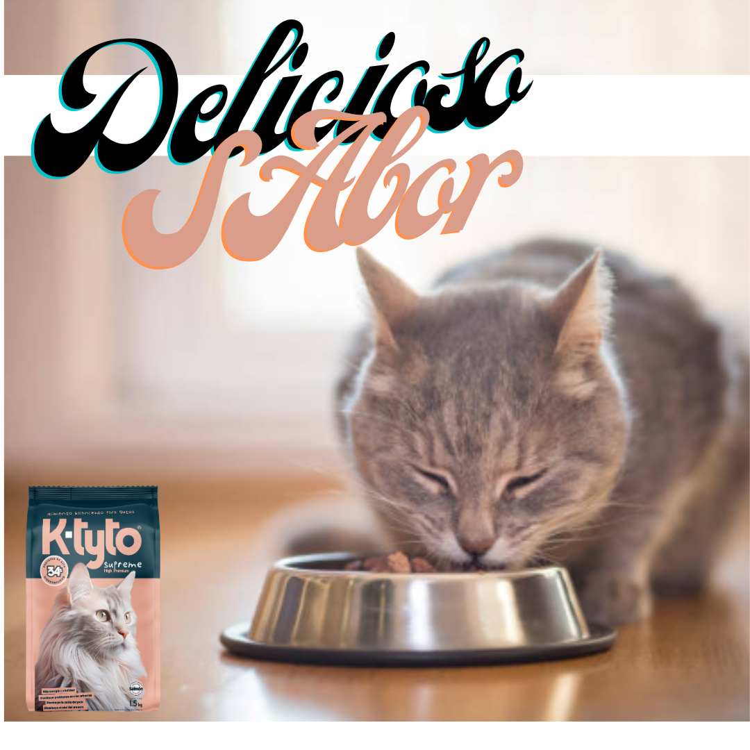 Ktyto croquetas Super Premium para gato proteína de salmón- 10kg