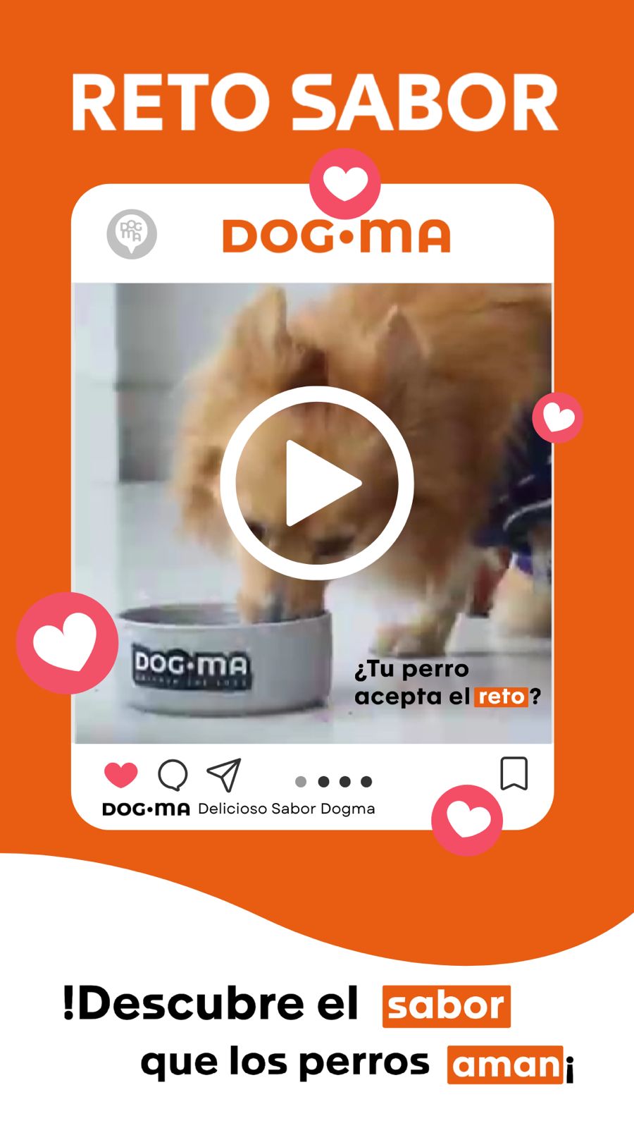 Cargar video: Óptima nutrición, cuidado de músculos y huesos, desarrollo cognitivo, prevención de enfermedades, y excelente digestibilidad son algunos de los beneficios que se concentran en cada una de las croquetas de Dogma For All para los consentidos de casa sin importa su estilo de vida. ¡Es para todos!